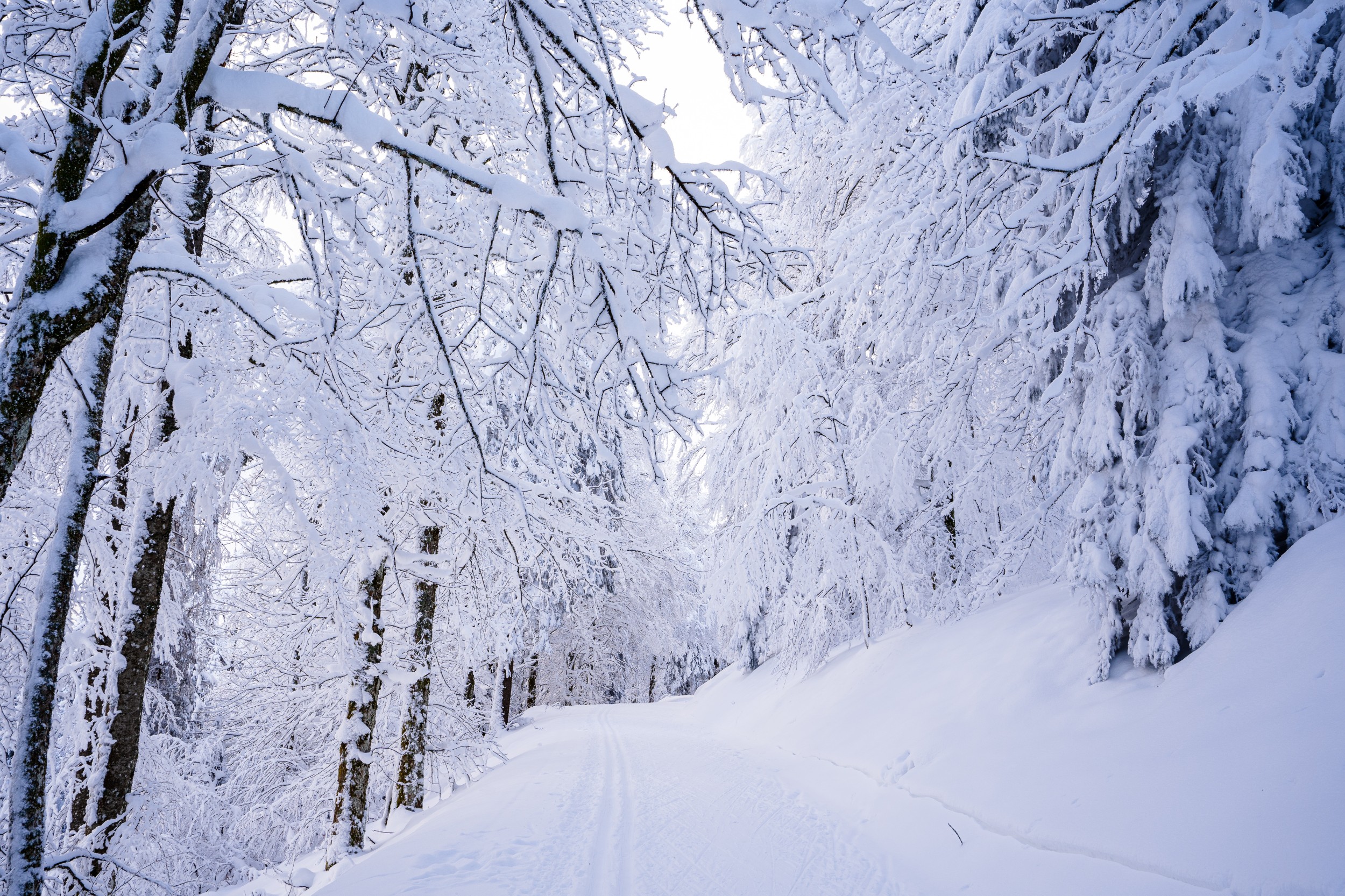 Winter Martinskapelle 01136