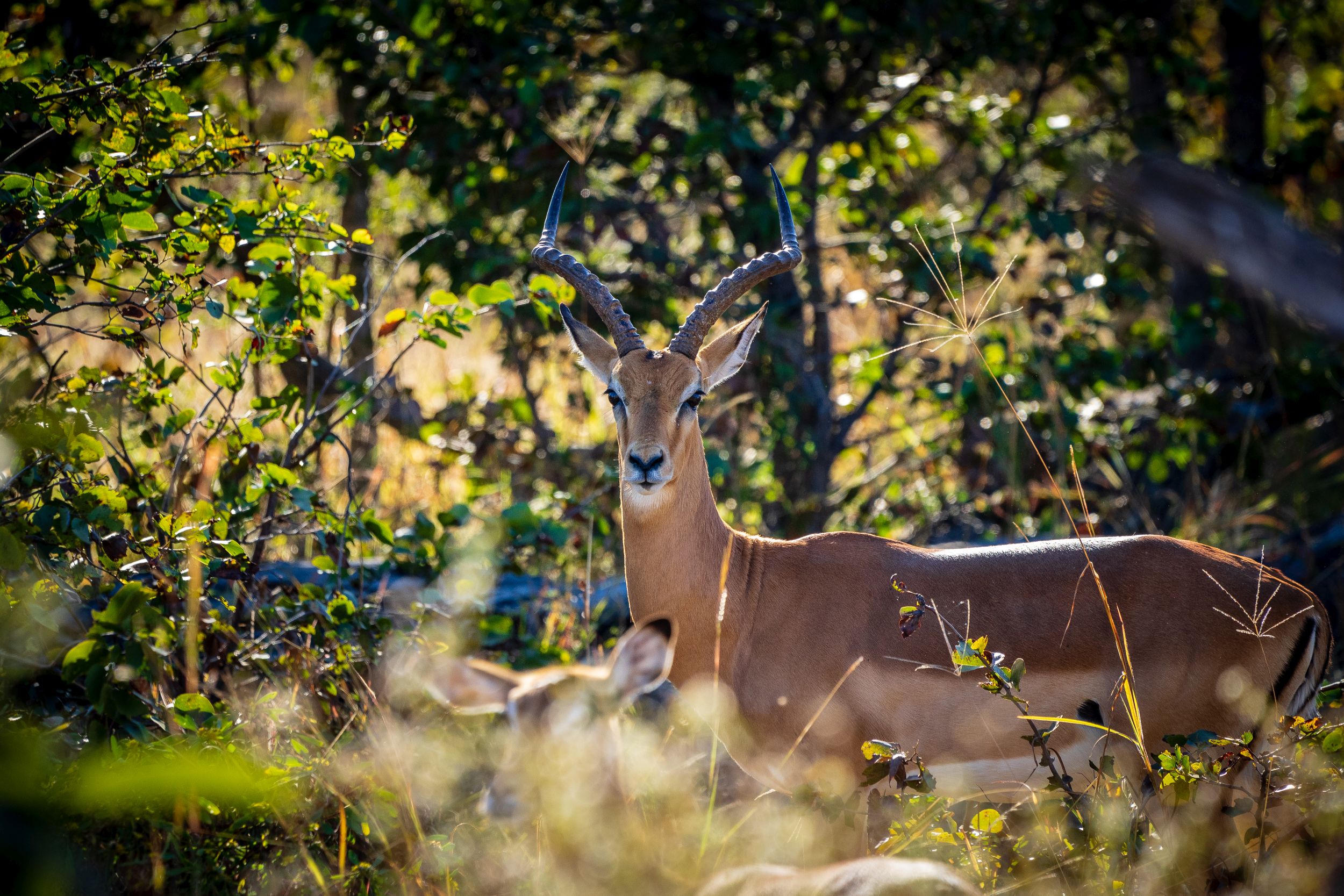 Urlaub2018 45S 00139