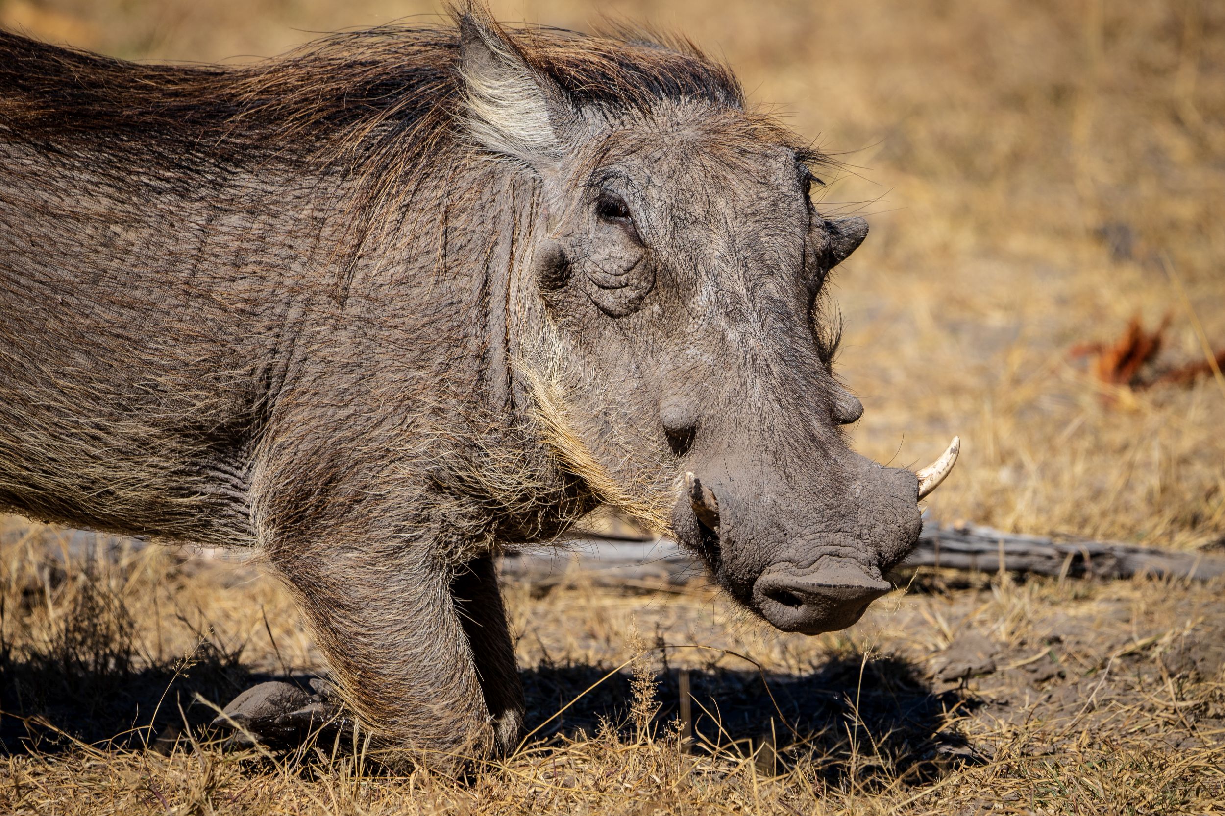 Urlaub2018 45S 00165