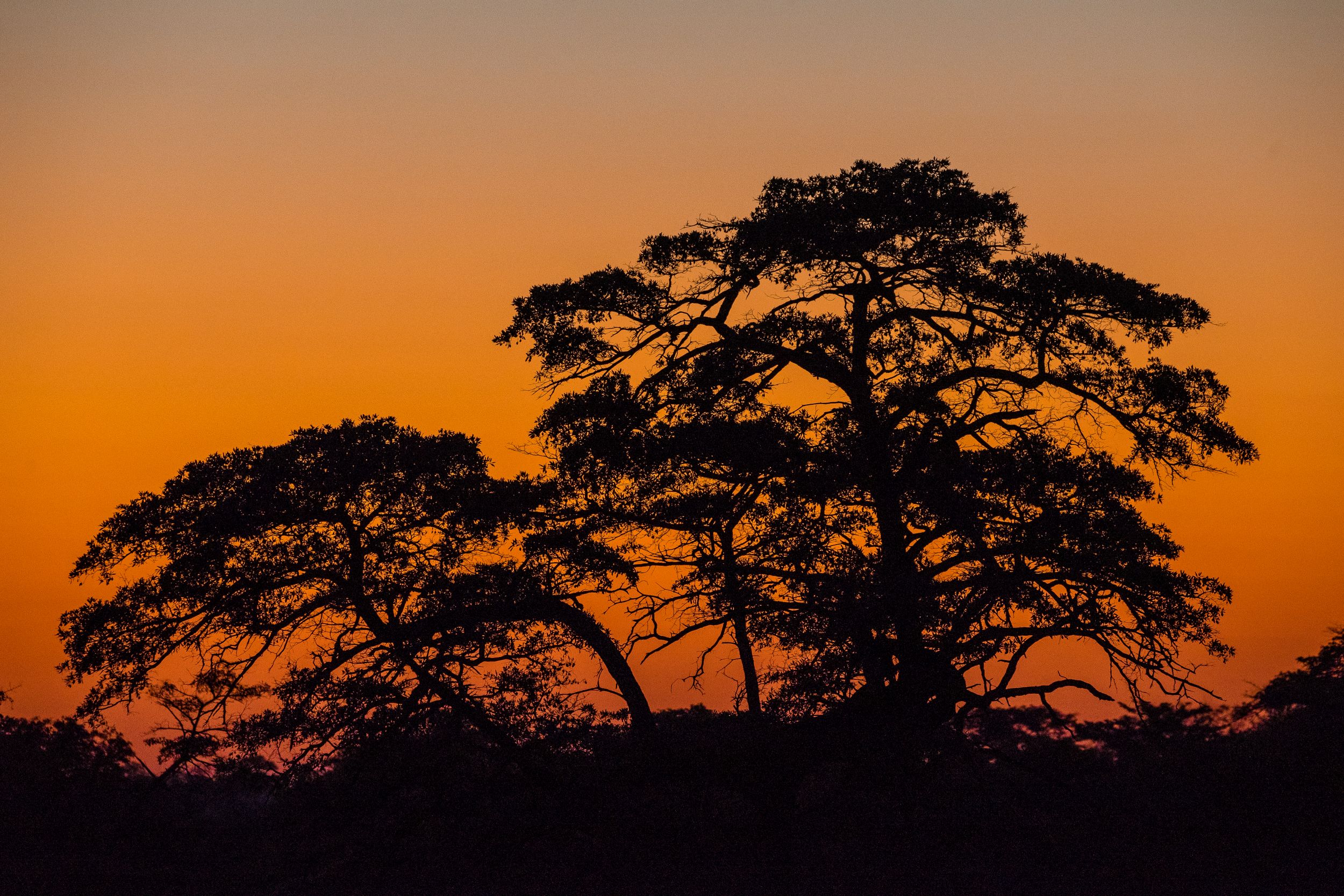 Urlaub2018 45S 00220