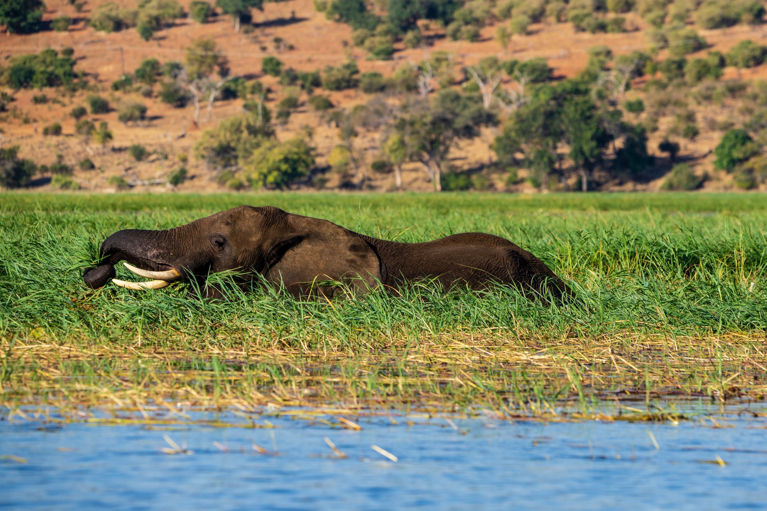 Urlaub2018 45S 00260