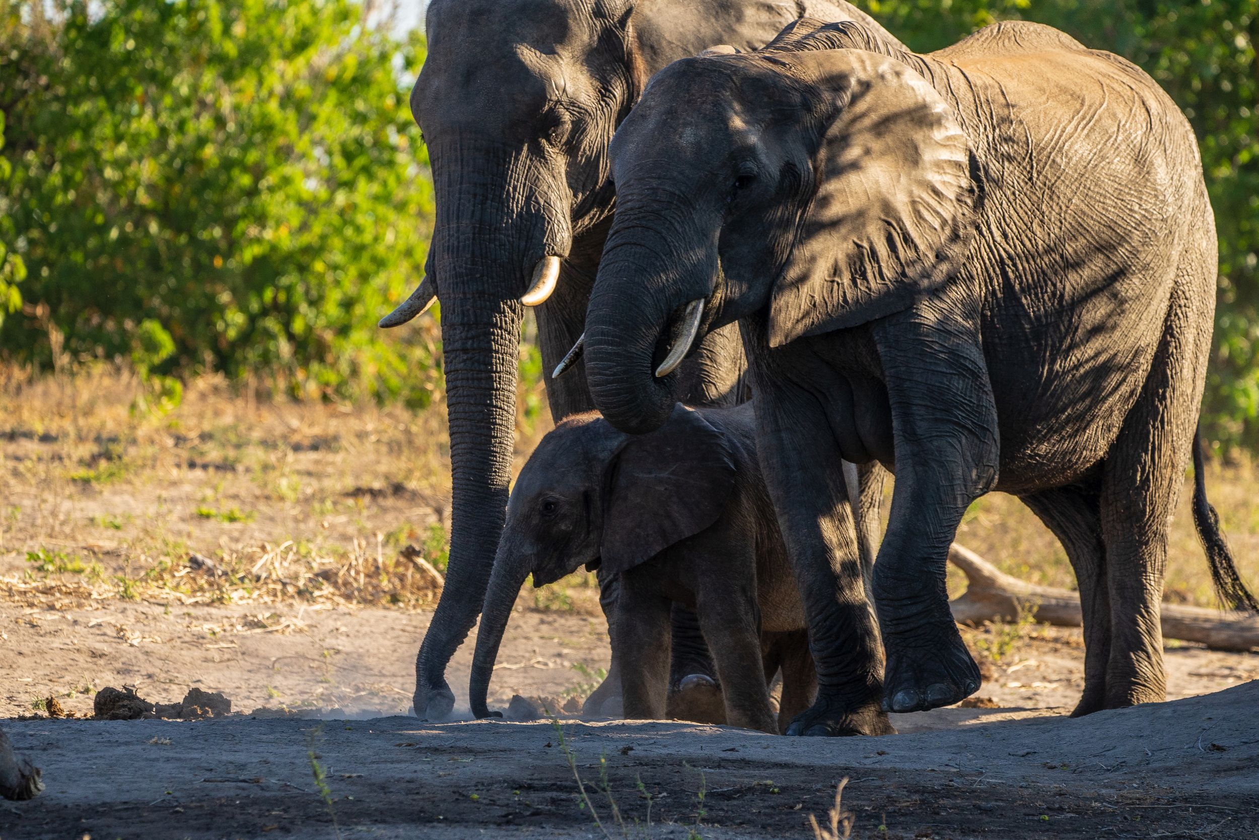 Urlaub2018 45S 00324