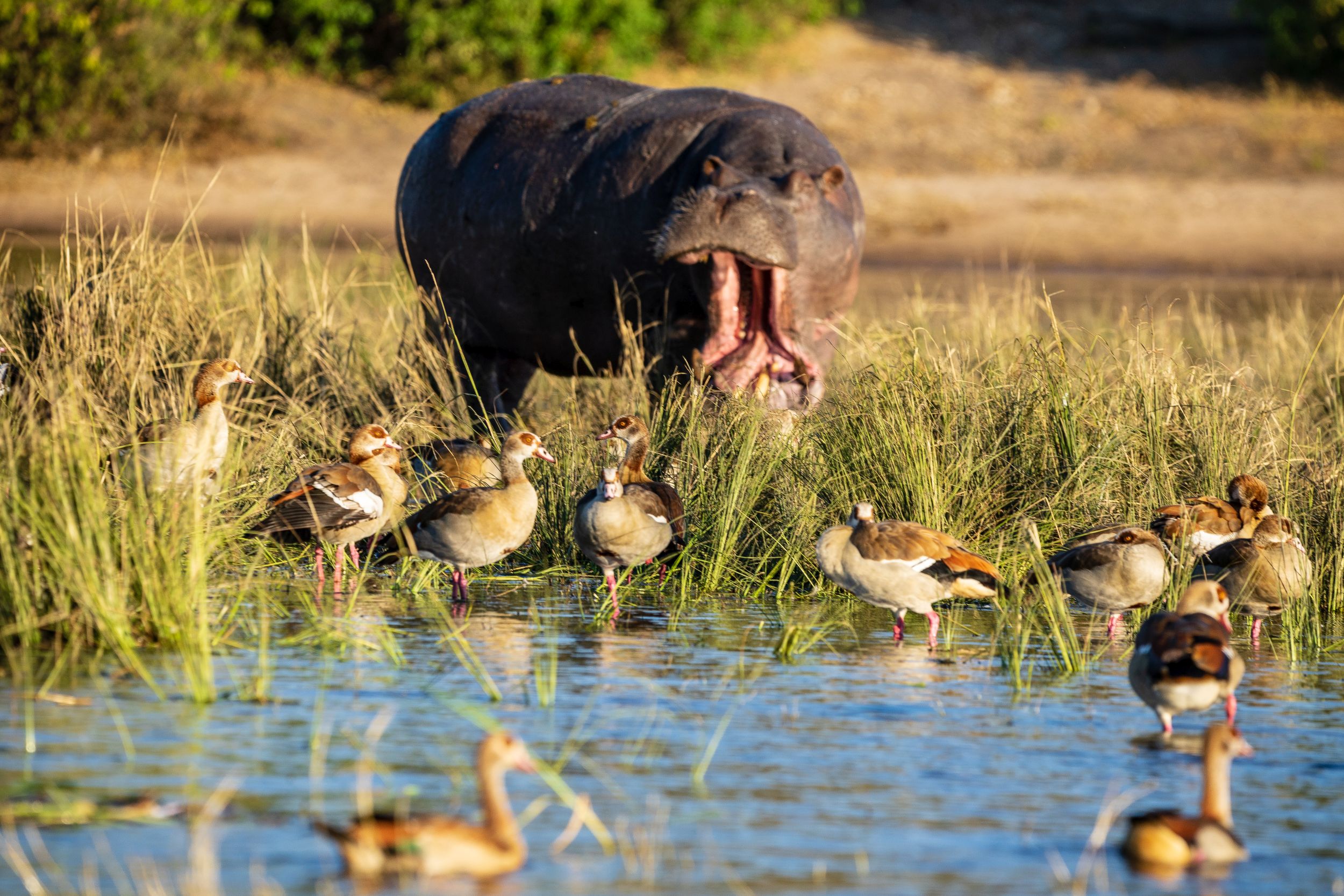 Urlaub2018 45S 00355