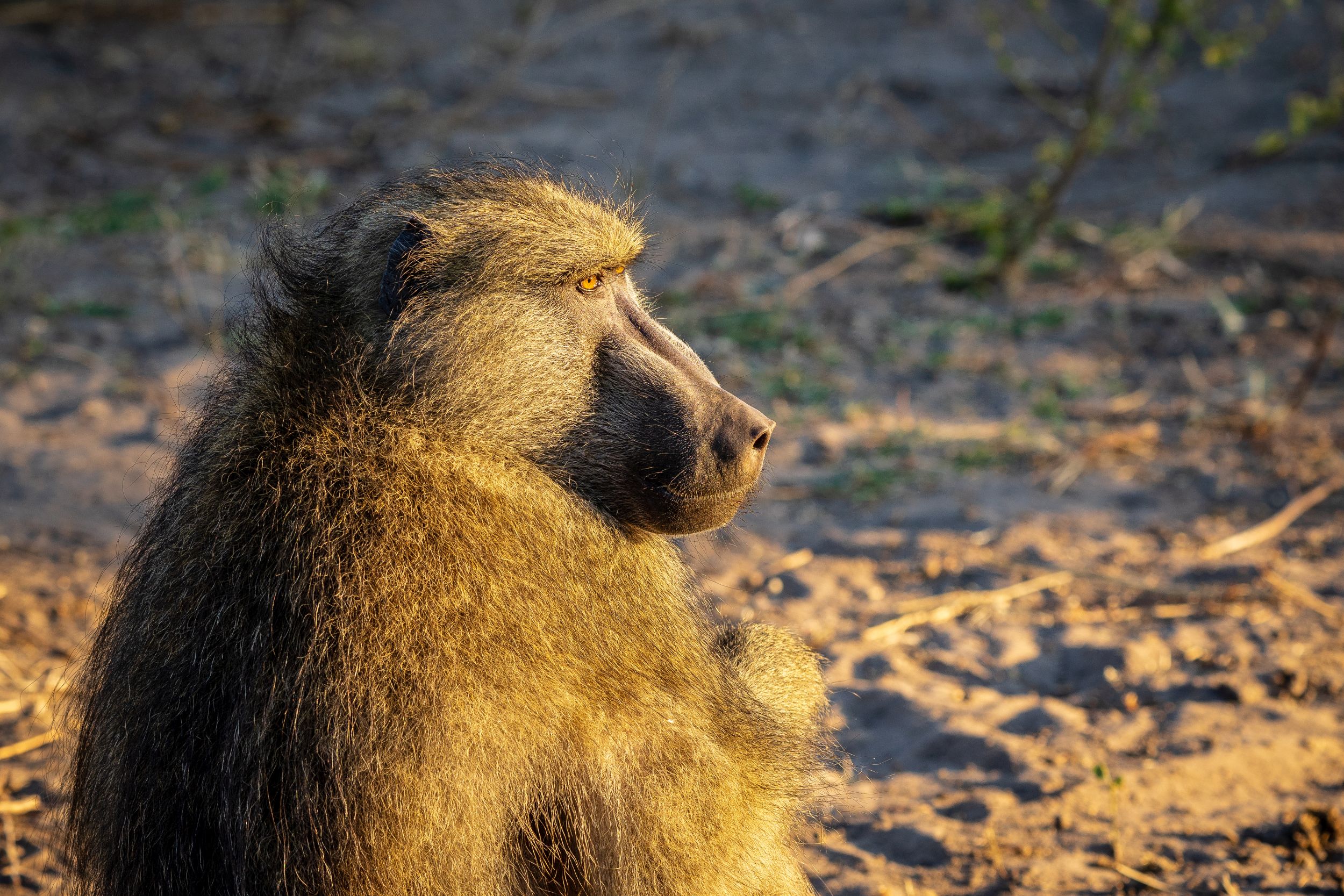 Urlaub2018 45S 00479