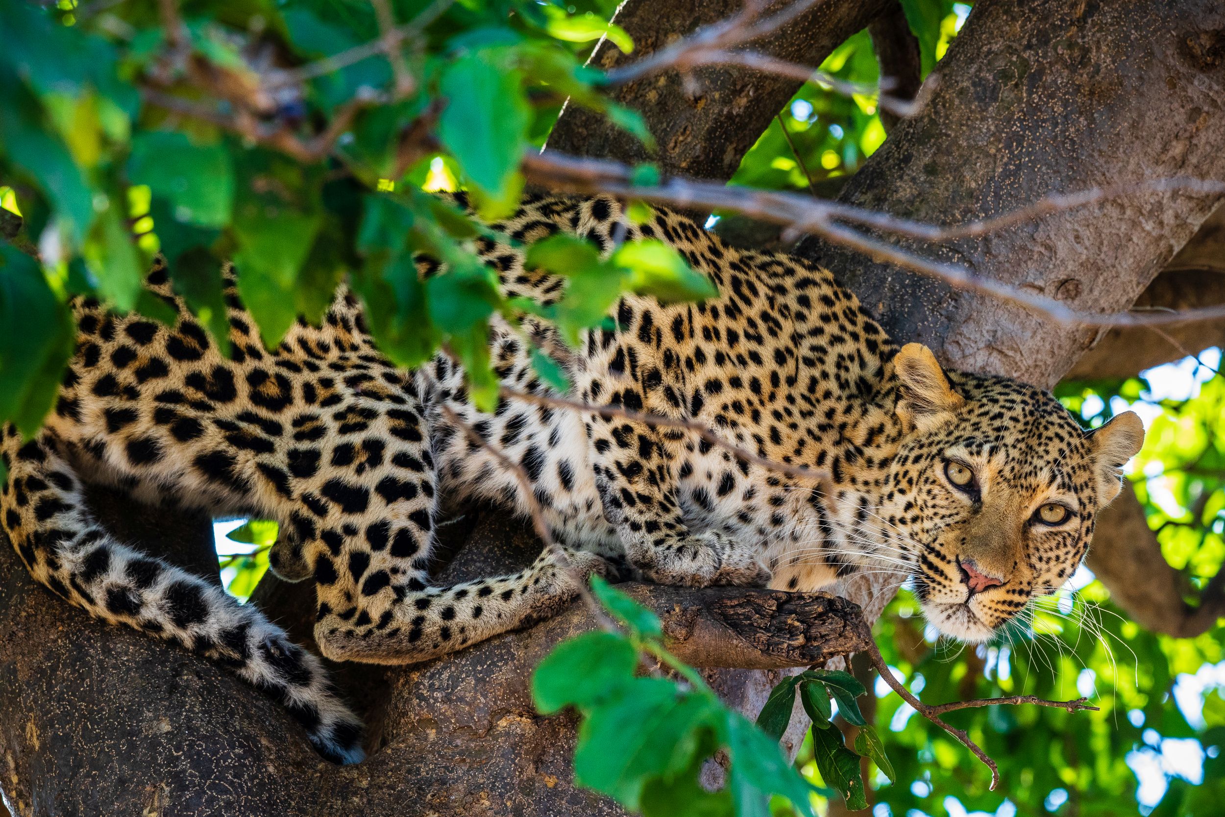 Urlaub2018 45S 00511