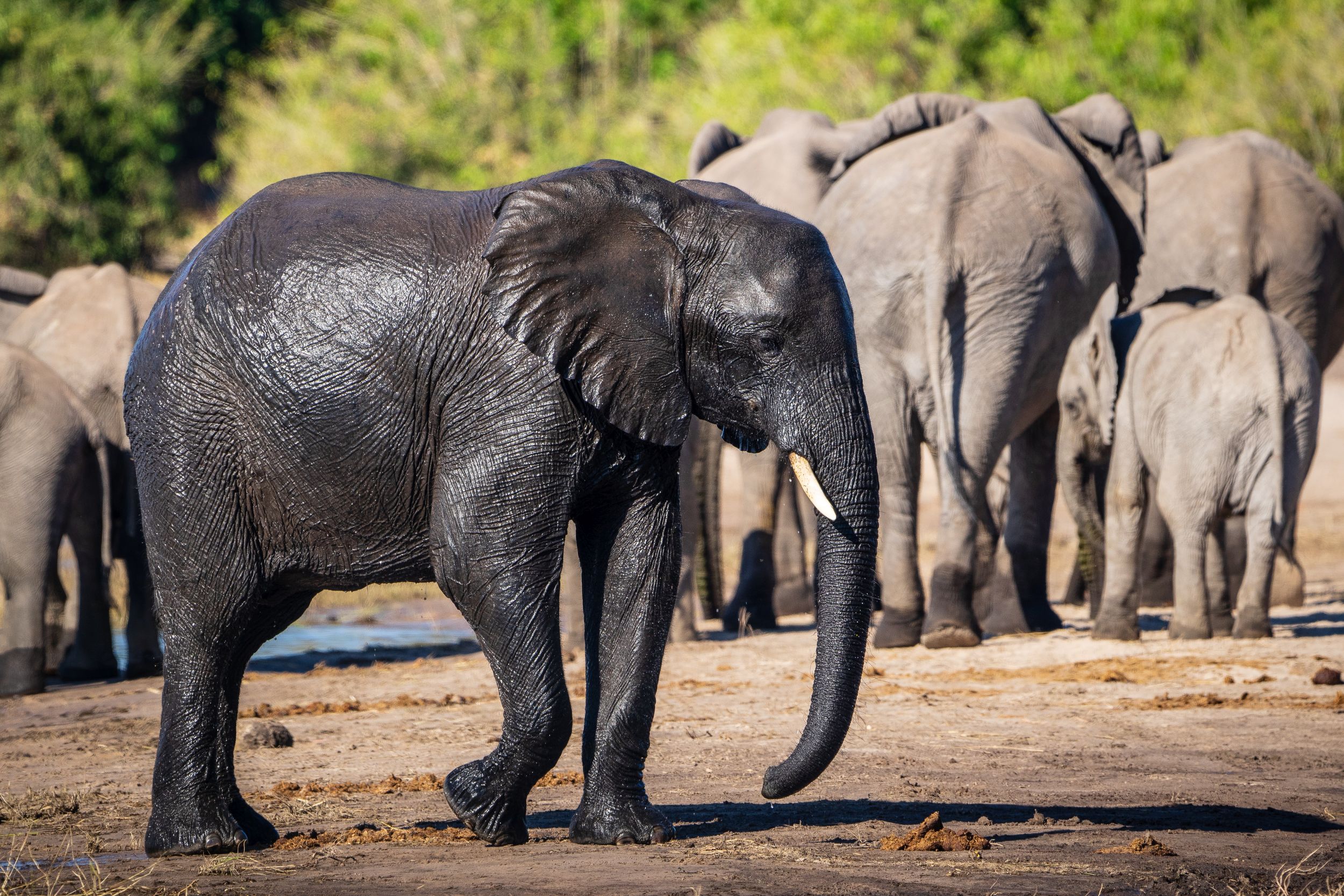 Urlaub2018 45S 00578