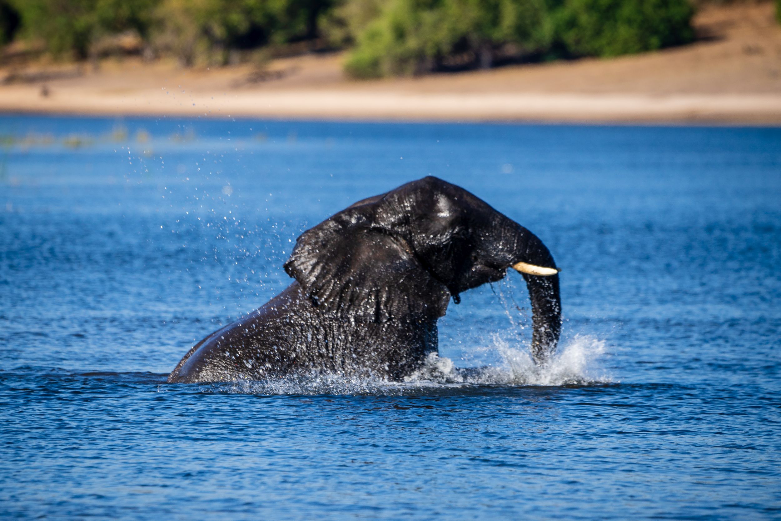 Urlaub2018 45S 00586