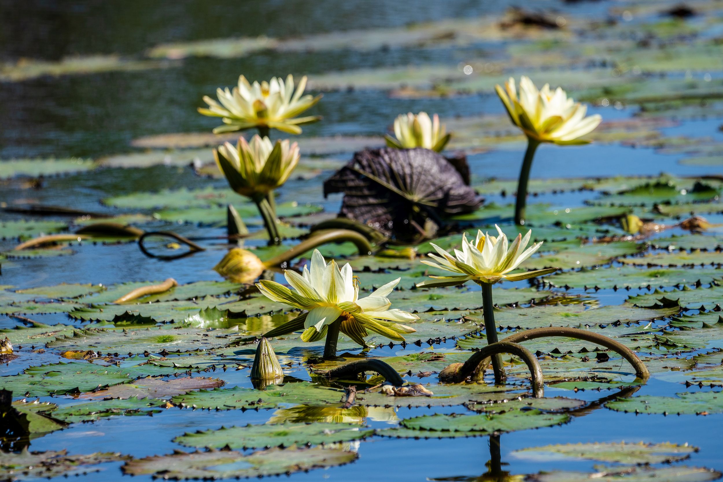 Urlaub2018 45S 09635