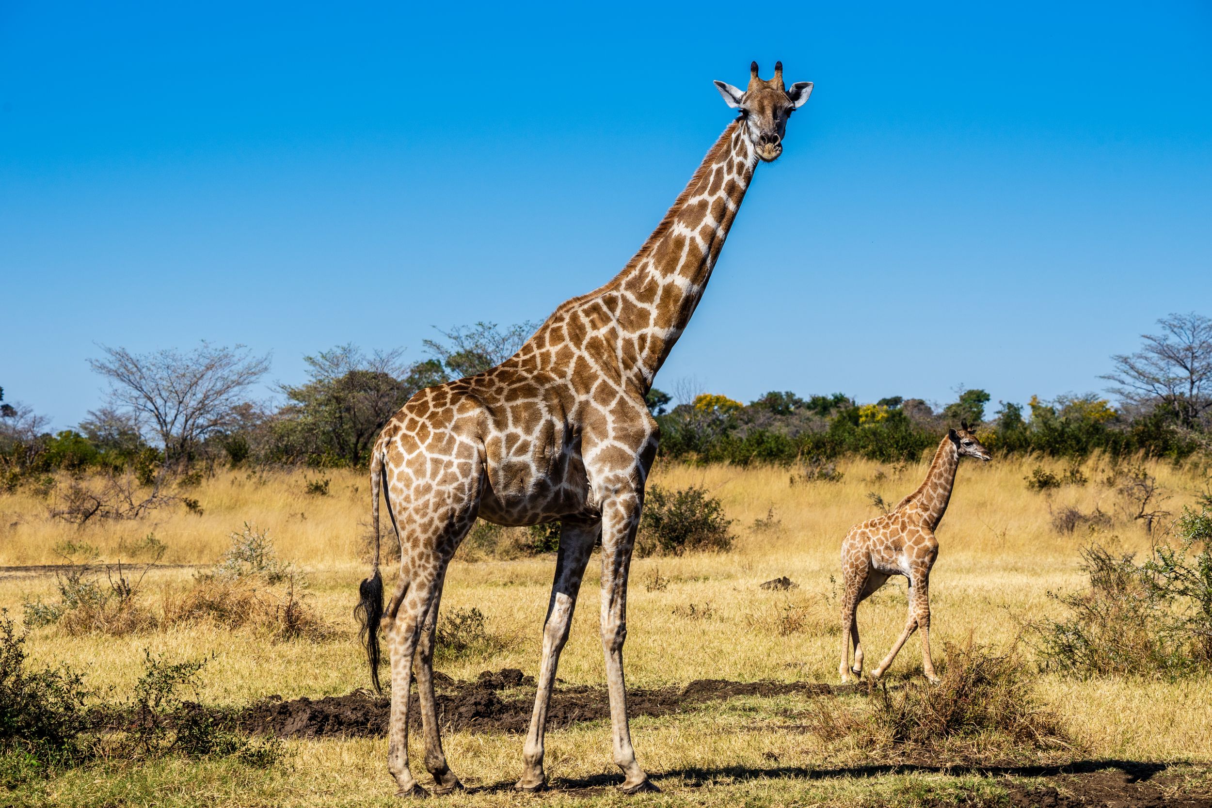 Urlaub2018 45S 09896