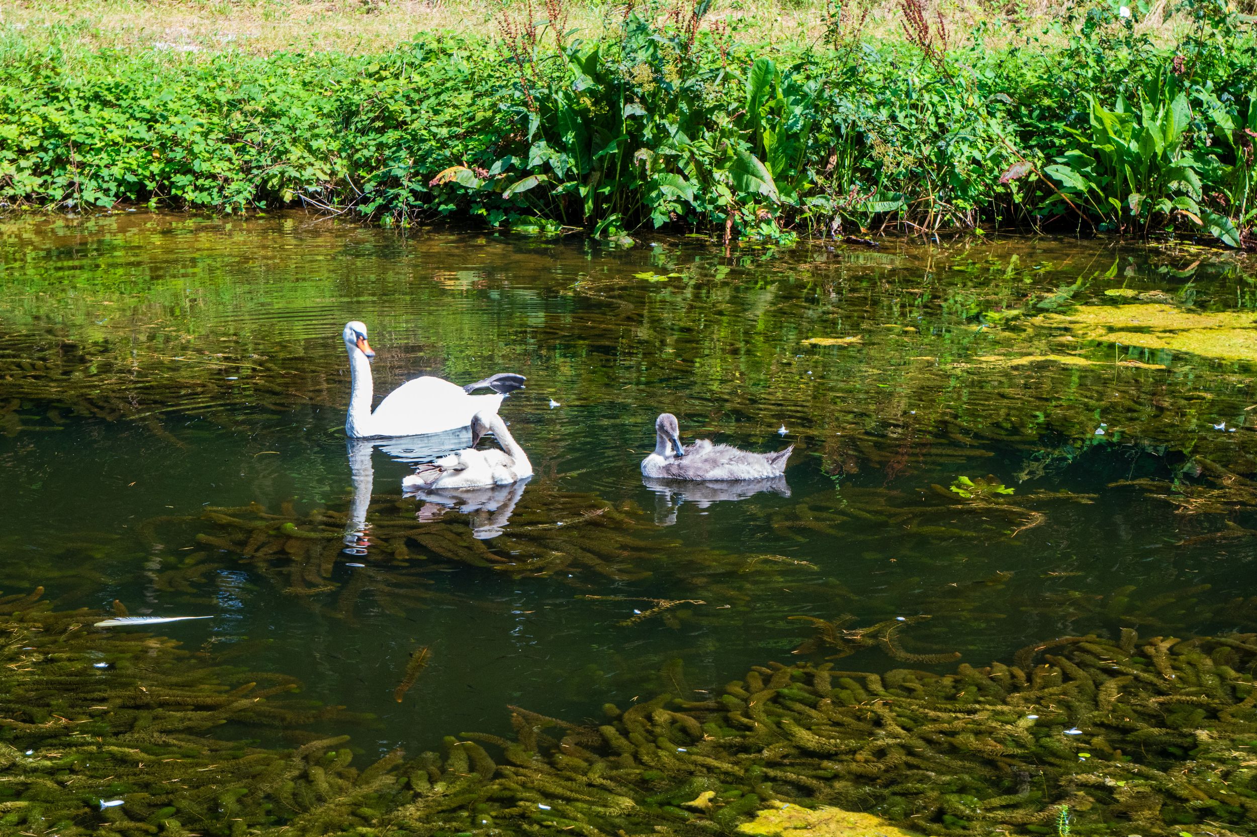 Radreise 5 Flüsse 03492