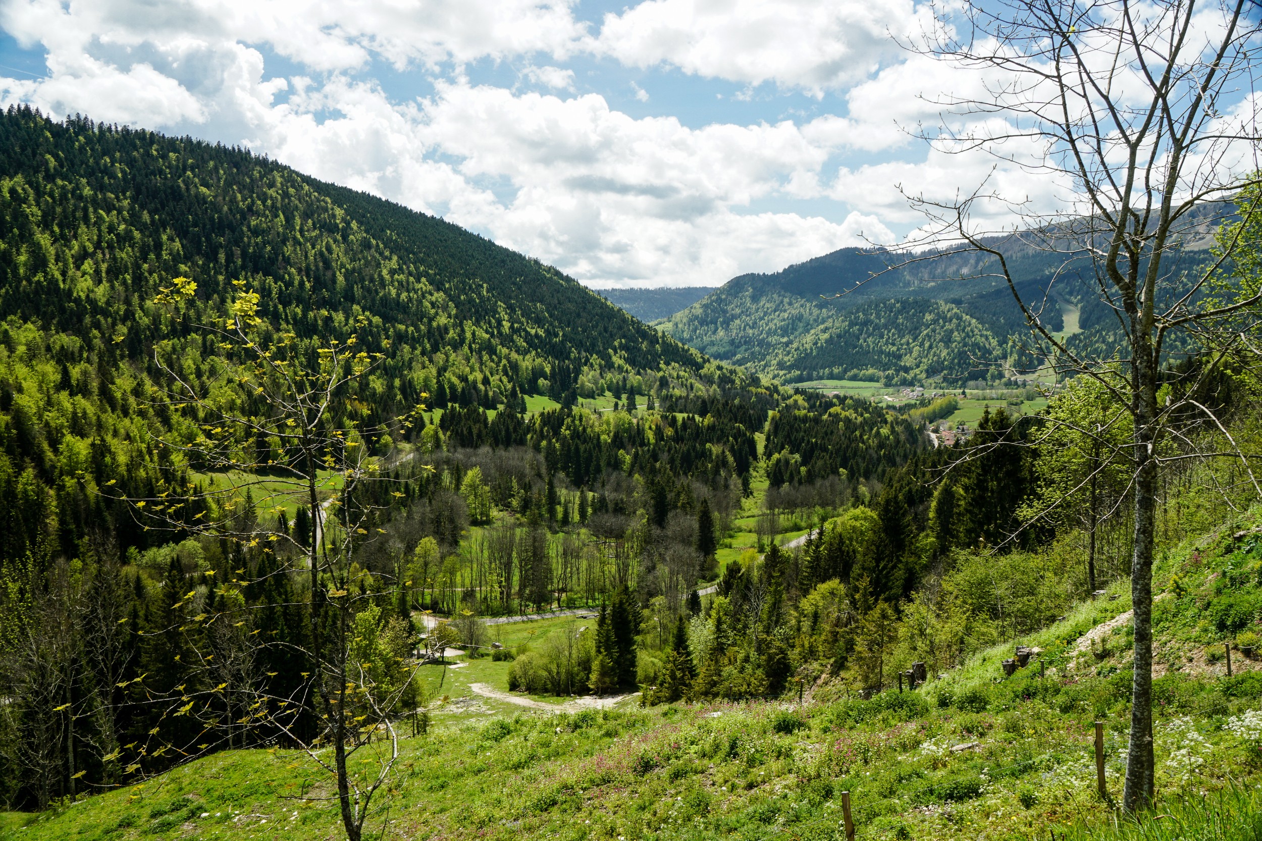 Radreise2017 Buch 05989