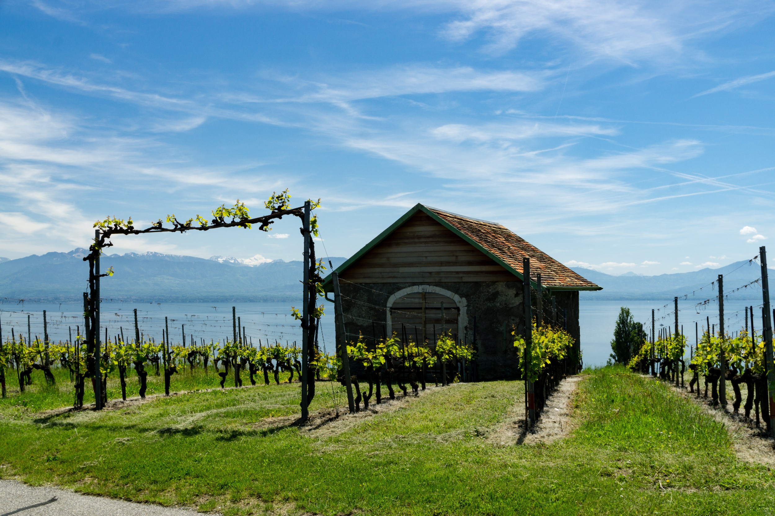 Radreise2017 Buch 06081