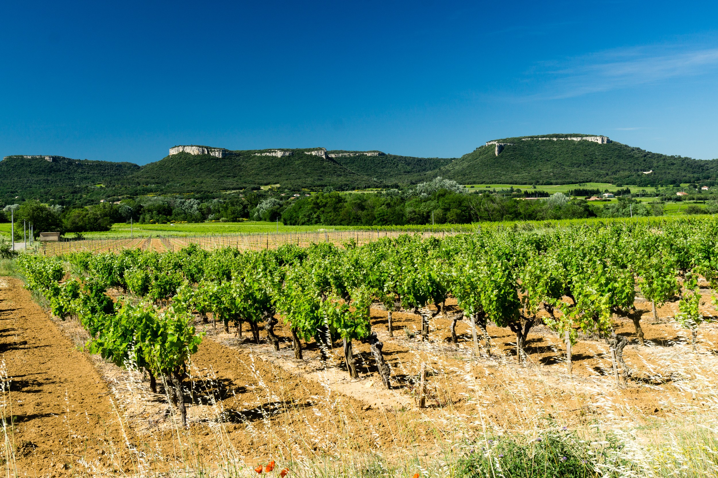 Radreise2017 Buch 09107