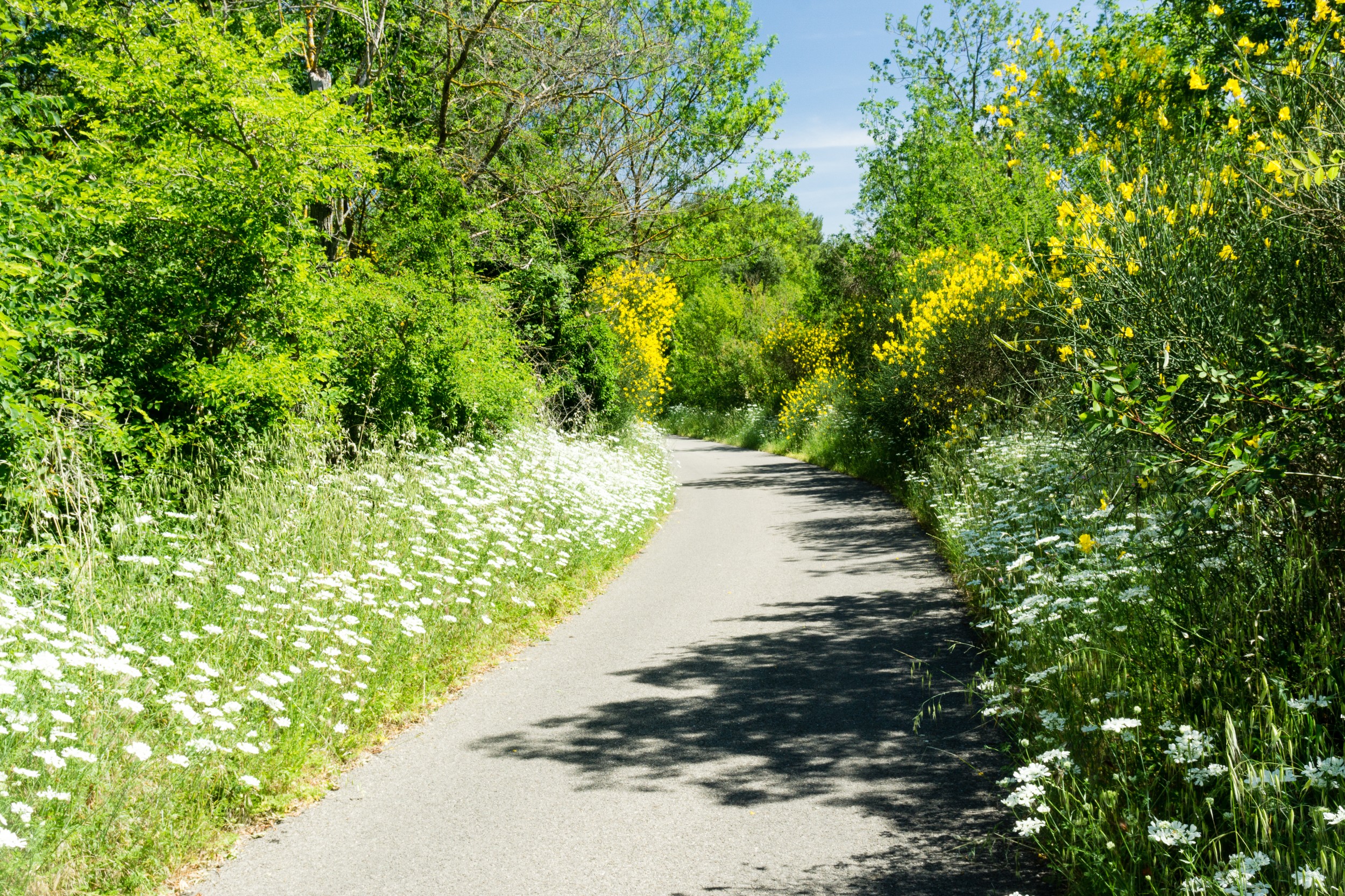 Radreise2017 Buch 09131