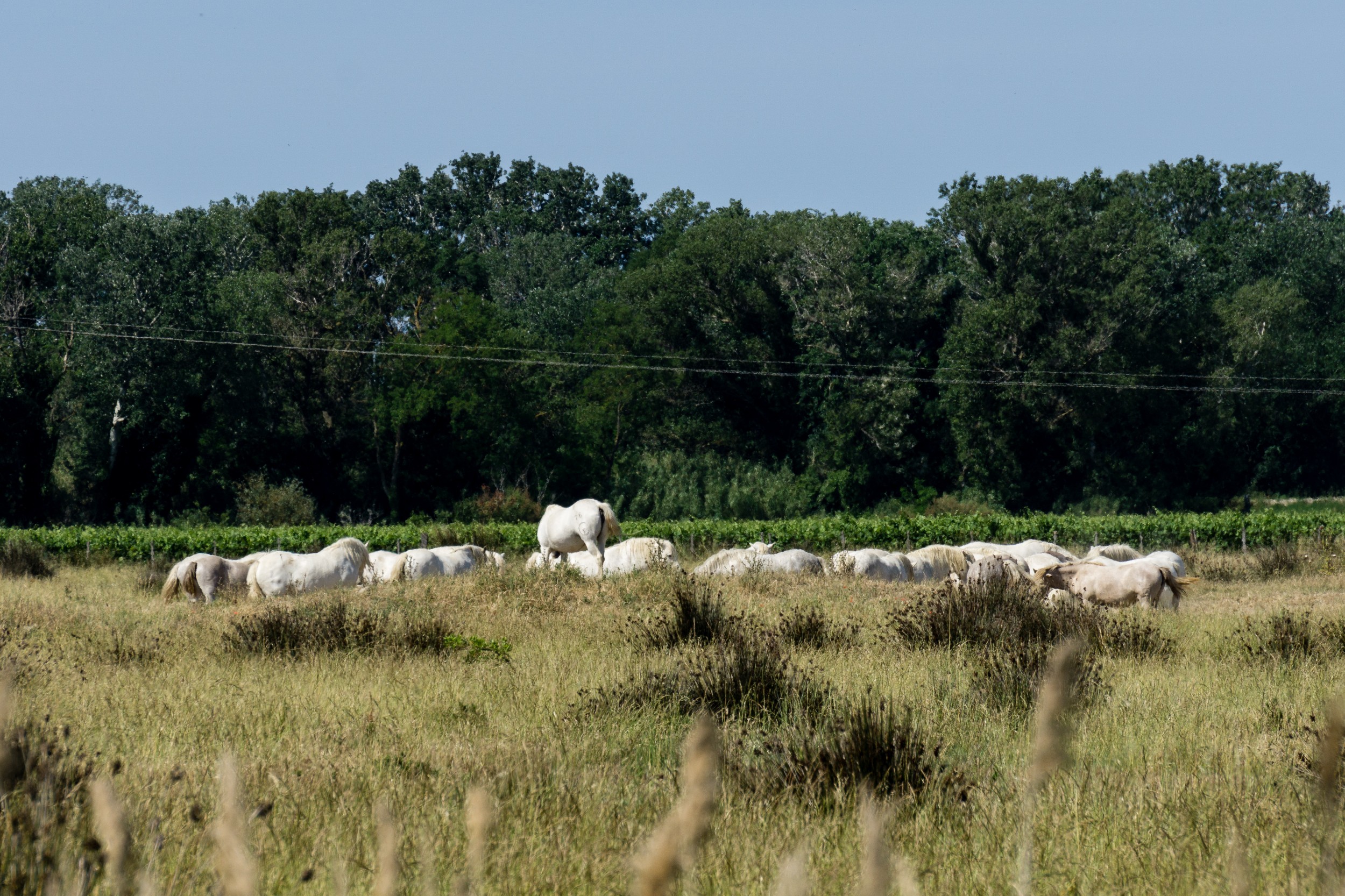 Radreise2017 Buch 09345