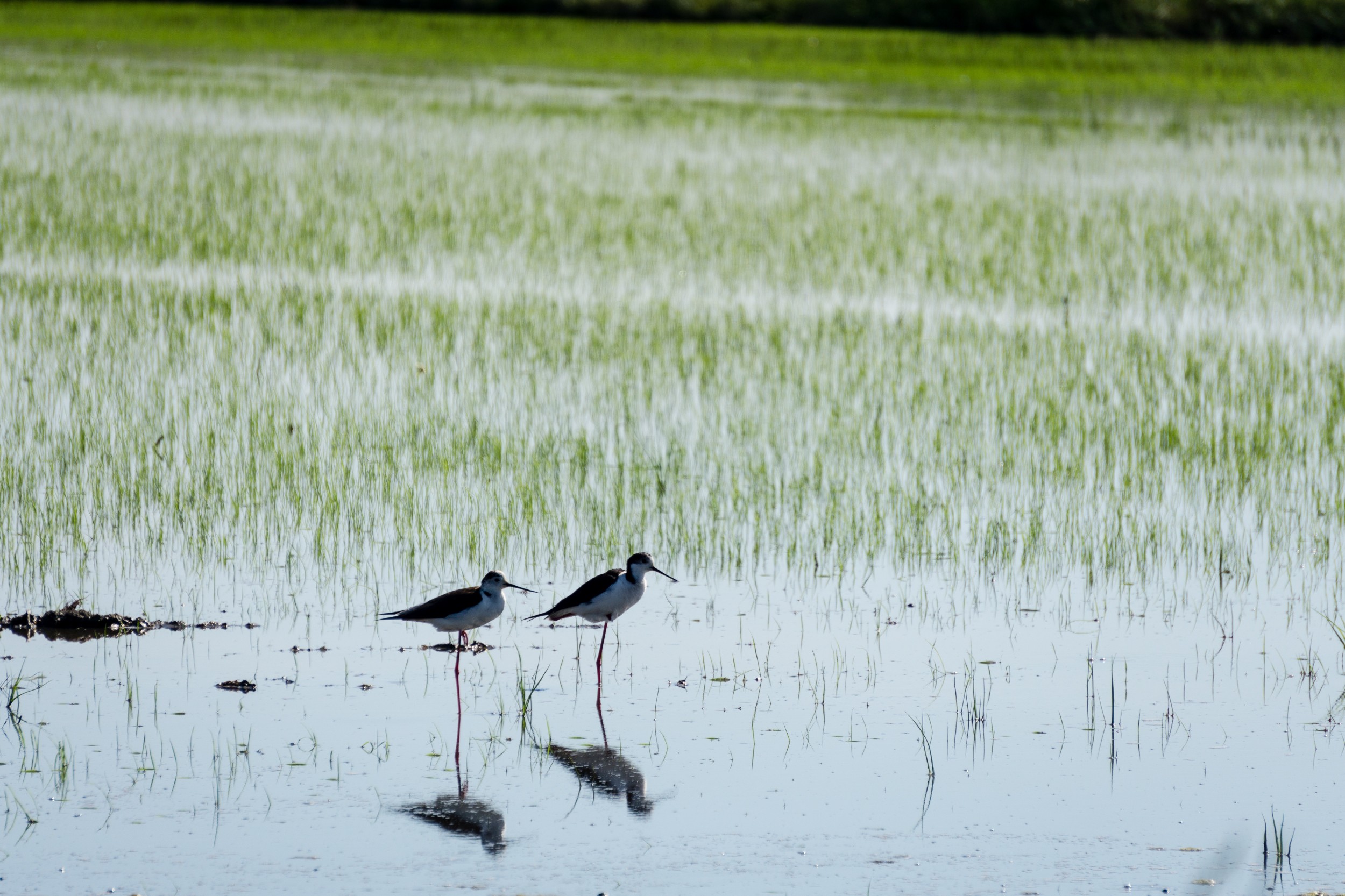 Radreise2017 Buch 09403